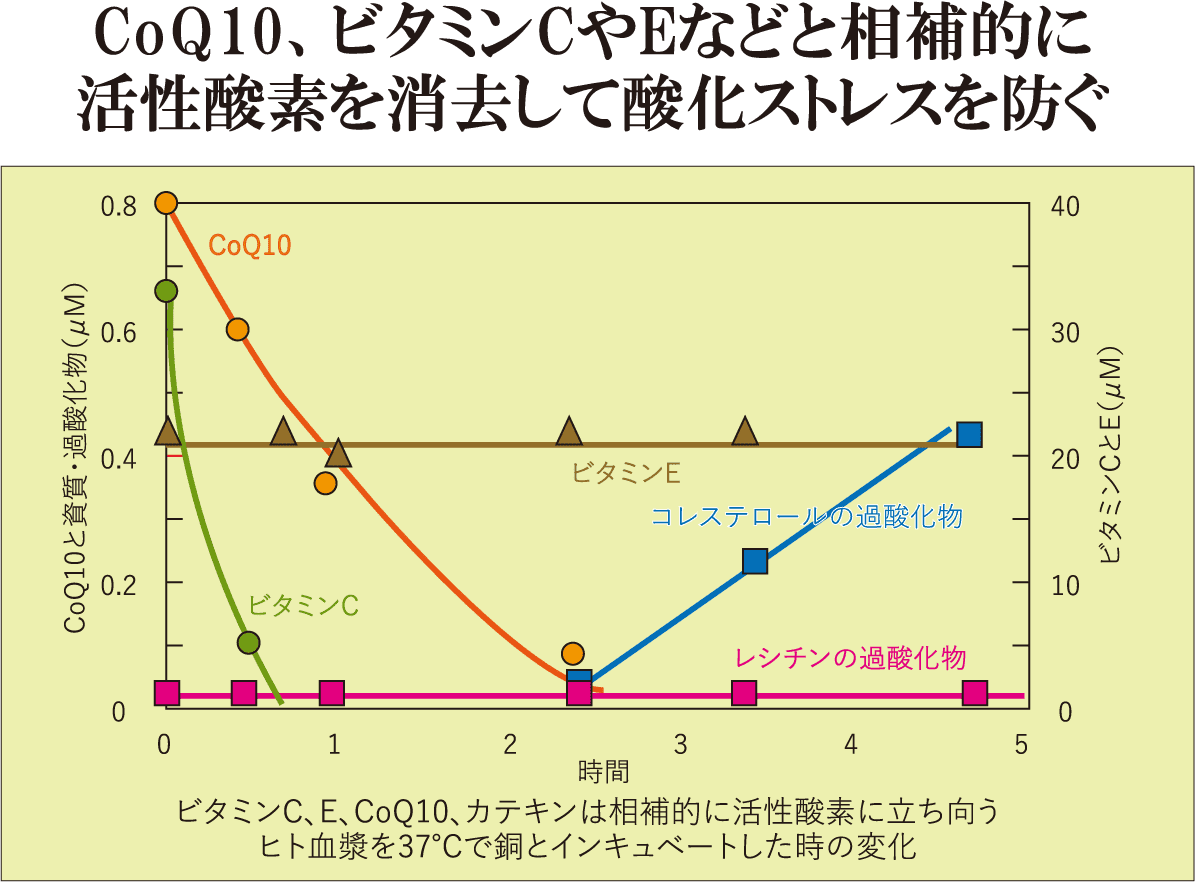 CoQ10、ビタミンCやEなどと相補的に活性酵素を消去して酸化ストレスを防ぐ